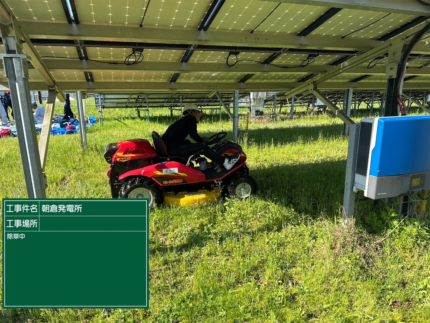 除草作業の様子